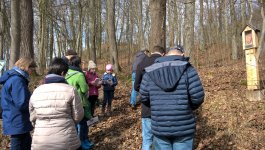 wp_20180311_14_22_42_pro_-_kopie.jpg