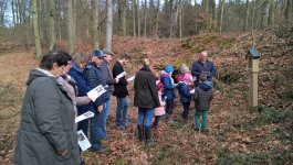 wp_20180311_14_28_40_pro_-_kopie.jpg
